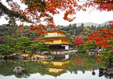 Độc đáo chùa Vàng Kinkakuji Nhật Bản