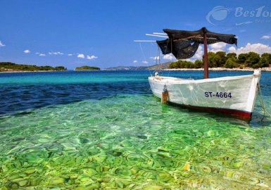 Vi vu quên lối về tại Vịnh Nha Trang