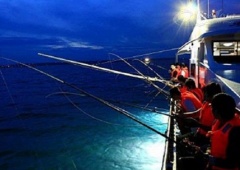 Chán câu cá, thử sức câu mực tại Nhật Lệ