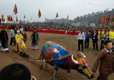 Hòa cùng không khí sôi động của lễ hội Tịch Điền Huế