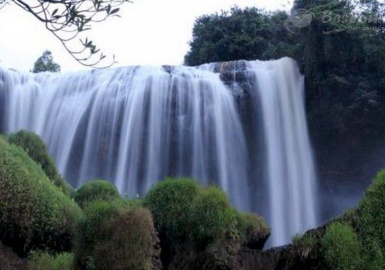 Du lịch Đà Lạt khám phá vẻ đẹp hùng vĩ của thác Voi 