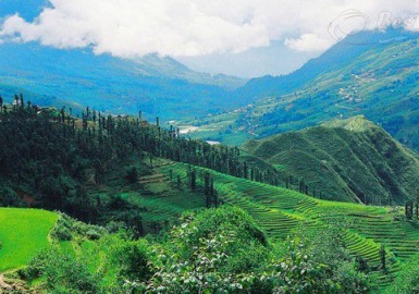 Thung lũng Mường Hoa - nét hoang sơ thanh bình