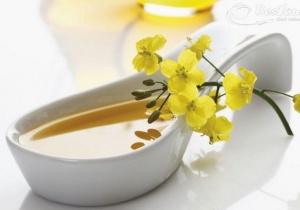 Dầu hạt cải - thực phẩm tốt cho sức khỏe