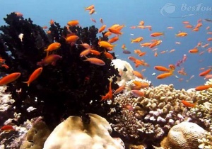 Địa điểm du lịch nhất định phải đến khi tới Maldives