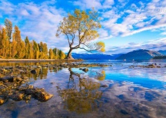 Du lịch New Zealand nhất định phải ghé hồ Wanaka chiêm ngưỡng nét thơ mộng