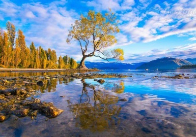 Du lịch New Zealand nhất định phải ghé hồ Wanaka chiêm ngưỡng nét thơ mộng