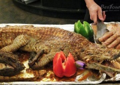 Du lịch Úc thưởng thức món cá sấu nướng 