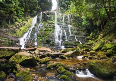 công viên Franklin – Gordon Wild Rivers điểm đến không thể chối từ khi du lịch Úc