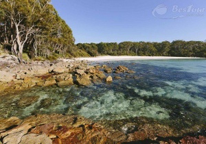 Ngất ngây với vẻ thơ mộng đầy quyến rũ của vịnh Jervis