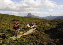 Overland Track - con đường mòn đầy ao ước cho dân Treckking