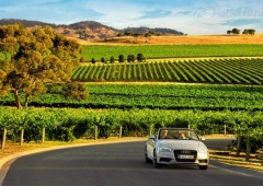 Thiên đường mộng mơ thung lũng Barossa của Úc