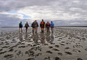 Vẻ đẹp hoang sơ bờ biển Wadden Hà Lan