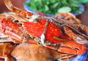 Thưởng thức ghẹ Hàm Ninh thơm ngọt nức tiếng Phú Quốc