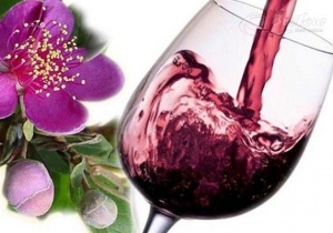 Rượu sim Phú Quốc – thứ đồ uống của tấm chân tình