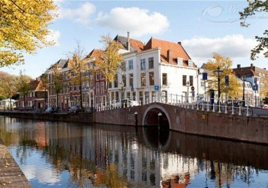 Theo dòng Leiden khám phá vẻ đẹp thơ mộng của quốc hoa tulip