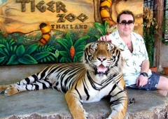 Thích thú với đại bản doanh của Hổ xứ chùa Vàng- Sriracha Tiger Zoo