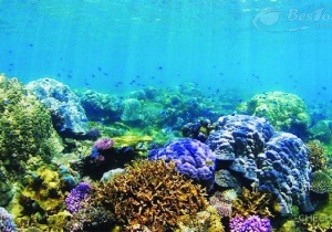 Du lịch Thái Lan tham quan những đâu?