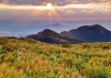 Chốn bồng lai tiên cảnh tại công viên Dương Minh Sơn