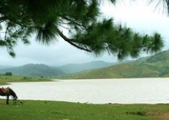 Hồ Suối Vàng (Dankia)