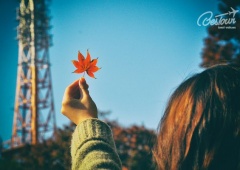 Hàn Quốc mùa lá đỏ và những địa điểm không thể bỏ qua 