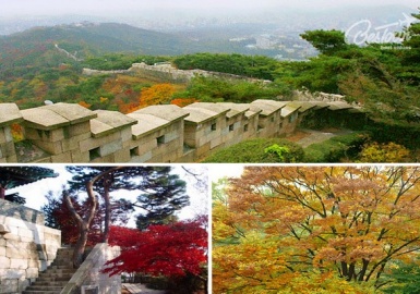 Dạo quanh thủ đô Seoul ngắm mùa lá đỏ xứ Hàn