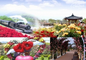 Xứ Hàn những mùa hoa