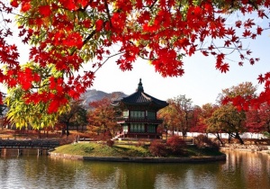 Kinh nghiệm du lịch Hàn Quốc mùa lá đỏ
