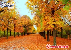 Tour  Du Lịch Hàn Quốc 5 Ngày 4 Đêm