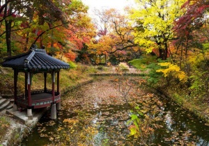 Changdeokgung- một trong 5 cung điện lớn nhất Hàn Quốc