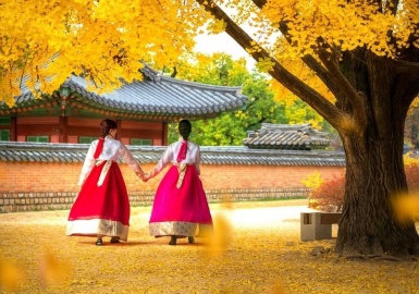 Say đắm trước phong cảnh và thời tiết Hàn Quốc tháng 11 