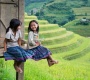 Tour Du Lịch Sapa 3 Ngày 2 Đêm (Fansipan - Cát Cát - Hàm Rồng)