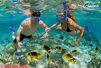 Tour Du Lịch Đà Nẵng Cù Lao Chàm 4 Ngày 3 Đêm 