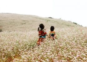 Tour Du Lịch Hà Giang - Tuyên Quang - Bắc Kạn 5 Ngày 4 Đêm