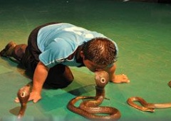 Trung tâm rắn Hoàng gia