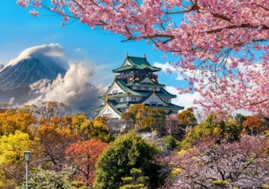 Hoàng cung Tokyo - Điểm check-in hàng đầu tại Nhật Bản