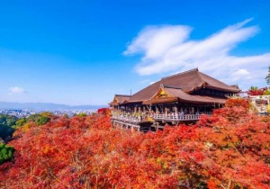 Khám phá mùa thu Nhật Bản 