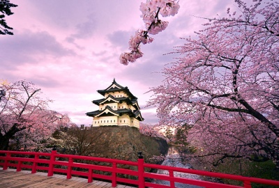 Tour Du Lịch Nhật Bản Mùa Hoa Anh Đào Sakura ( NRT / KIX )