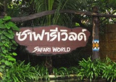 Công viên Safari World