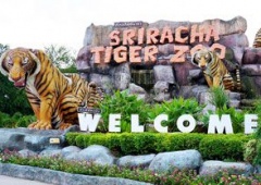 Vườn thú Sriracha Tiger