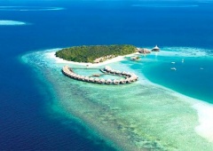 Đảo san hô Coral