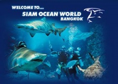 Siam Ocean World