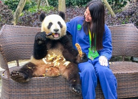 Tour Du Lịch Trung Quốc : Thành Đô - Công Viên Manhua - Cửu Trại Câu - Lạc Sơn Đại Phật 6N5Đ Bay 3U