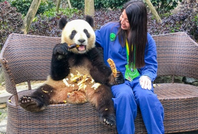 Tour Du Lịch Trung Quốc : Thành Đô - Công Viên Manhua - Cửu Trại Câu - Lạc Sơn Đại Phật 6N5Đ Bay 3U