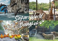 Thưởng lãm Safari World Bangkok tận hưởng cảm giác về miền hoang dã