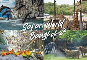 Thưởng lãm Safari World Bangkok tận hưởng cảm giác về miền hoang dã
