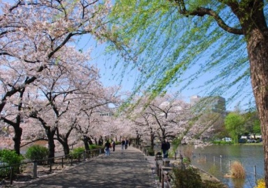 Khám phá công viên Ueno: công viên lâu đời nhất tại Tokyo