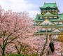 Tour Du Lịch Nhật Bản Mùa Hoa Anh Đào Sakura 2026