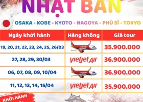 Tour Du Lịch Nhật Bản Mùa Hoa Anh Đào Sakura 2026 Bay Vietjet Air