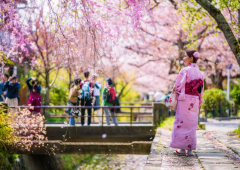 Đi Nhật mùa nào đẹp nhất?