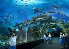 Thủy cung S.E.A. Aquarium